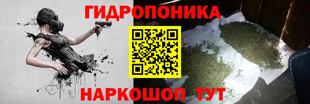 Каннабис планчик  Вход с VPN  Ачхой-Мартан  Канабис планчик  Шишки марихуана конопля 